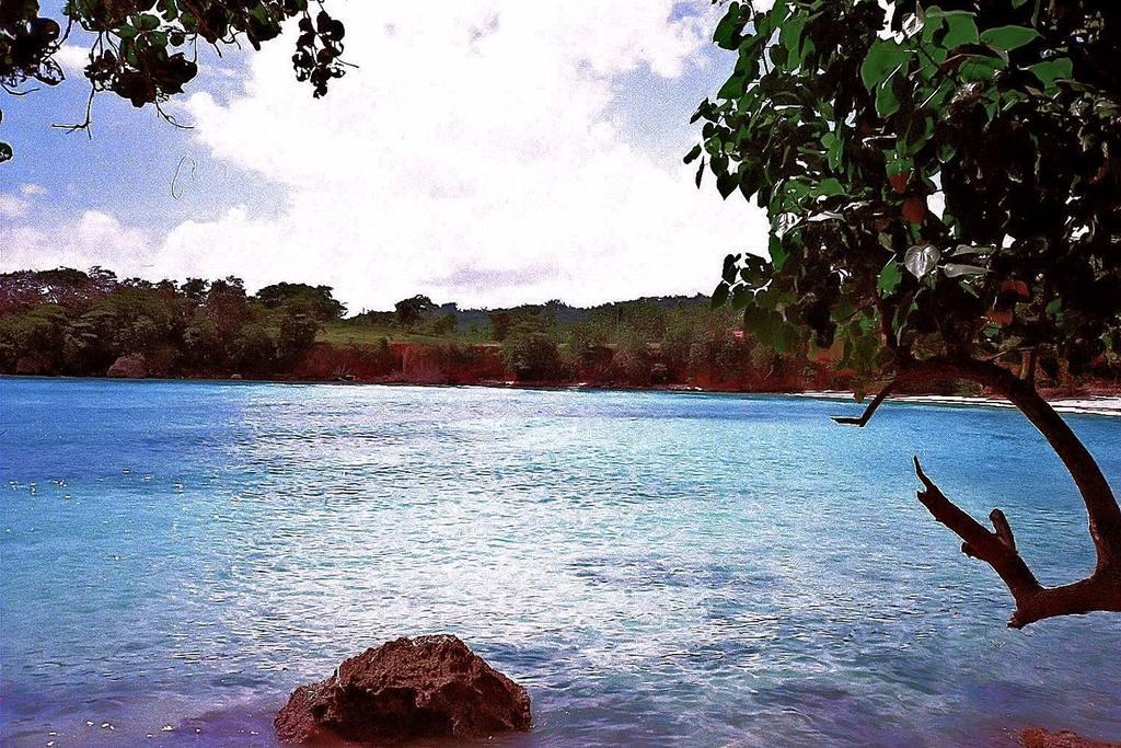 Boston Beach Guesthouse Port Antonio Esterno foto