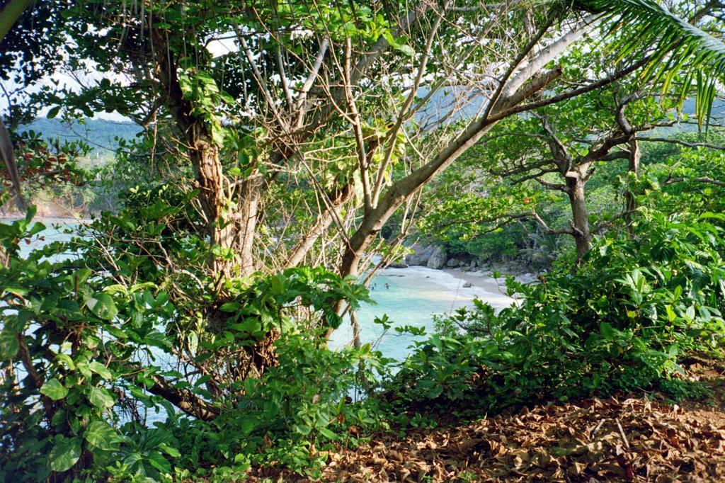 Boston Beach Guesthouse Port Antonio Esterno foto