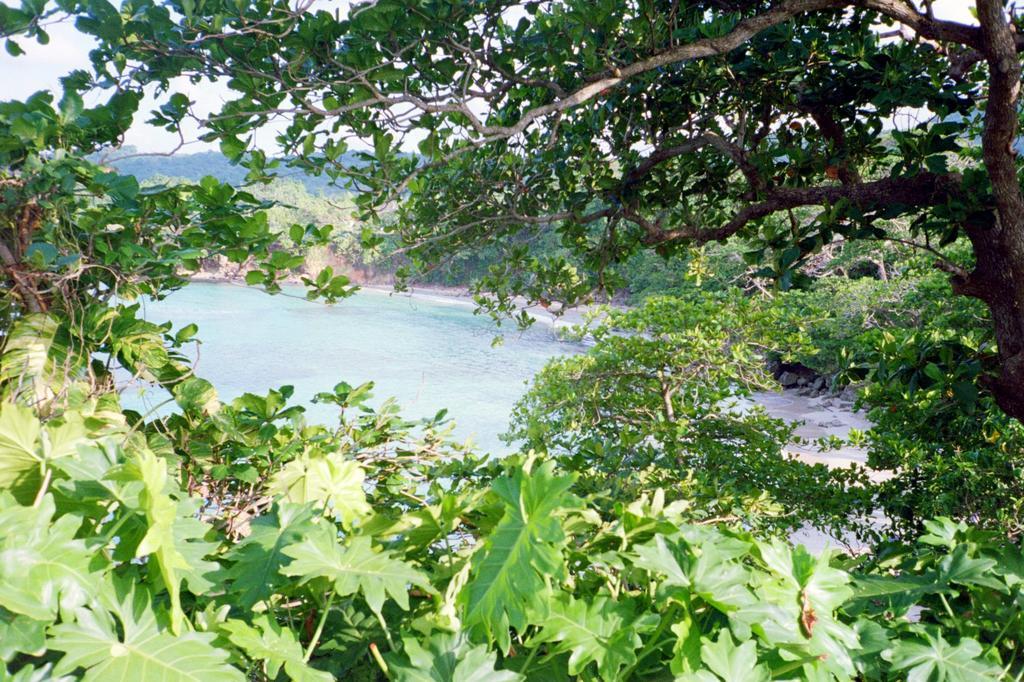 Boston Beach Guesthouse Port Antonio Esterno foto