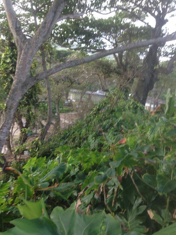 Boston Beach Guesthouse Port Antonio Esterno foto