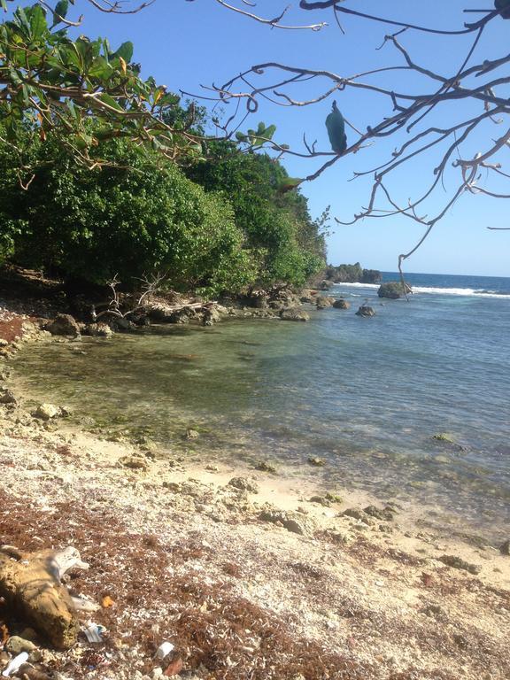 Boston Beach Guesthouse Port Antonio Esterno foto