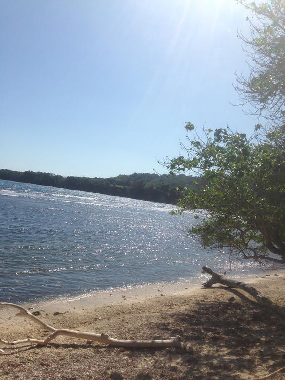 Boston Beach Guesthouse Port Antonio Esterno foto